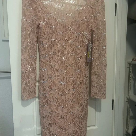 Elegant Lace Sequin Dress in Blush Pink ๐ - Picture 3 of 14
